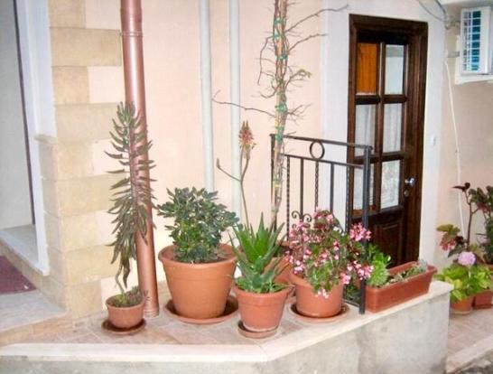Case Vacanza Cipriano Spacious Apartment And Cosy Studio Monolocale Torretta  Eksteriør billede